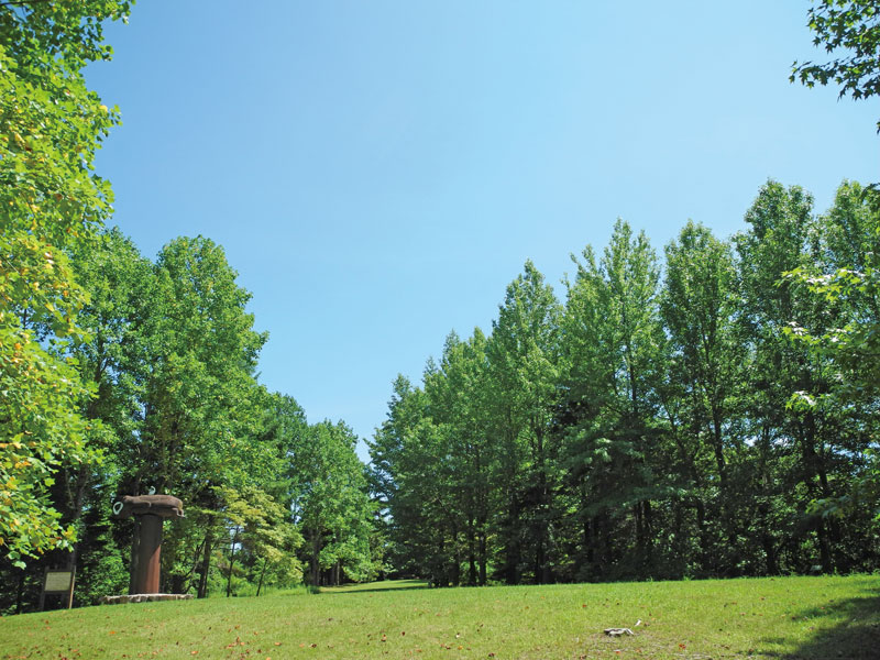 みなとカードの情報誌「Triangle」特集ページ 夏の森で深呼吸！神戸市立森林植物園で楽しむ森林ハイキング（6）シアトルの森イメージ