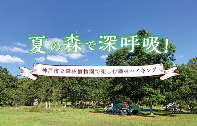 特集「夏の森で深呼吸！神戸市立森林植物園で楽しむ森林ハイキング」イメージ写真