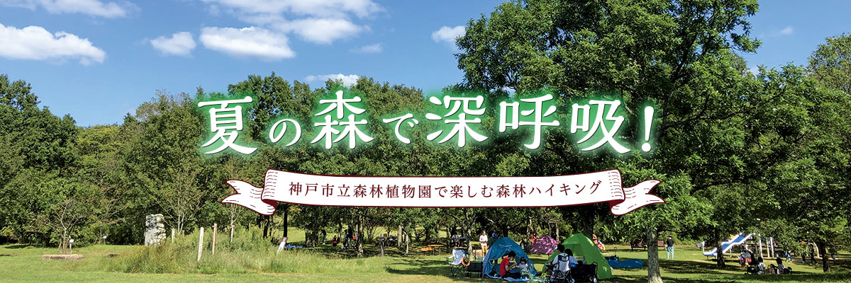 みなとカードの情報誌「Triangle」特集ページ 夏の森で深呼吸！神戸市立森林植物園で楽しむ森林ハイキング