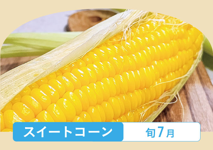 特集「栄養たっぷり!夏野菜&果物で暑い夏を乗り切ろう!」イメージ画像