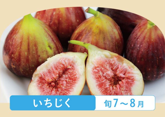 特集「栄養たっぷり!夏野菜&果物で暑い夏を乗り切ろう!」イメージ画像