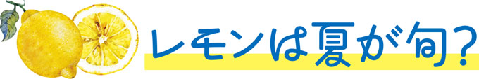 特集「栄養たっぷり!夏野菜&果物で暑い夏を乗り切ろう!」イメージ画像