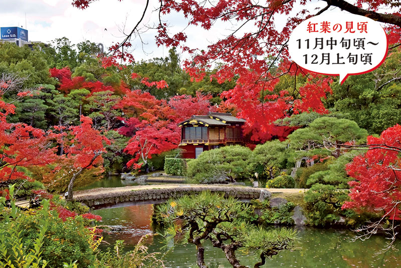 贅沢な秋の一日。日本庭園で観楓(かんぷう)を愉しむ「神戸市立相楽園」 イメージ写真