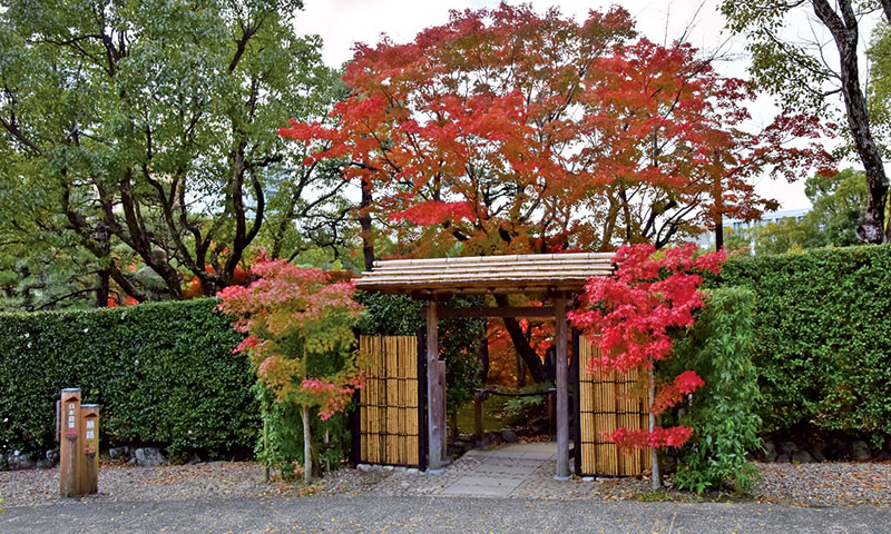 贅沢な秋の一日。日本庭園で観楓(かんぷう)を愉しむ「神戸市立相楽園」 イメージ写真