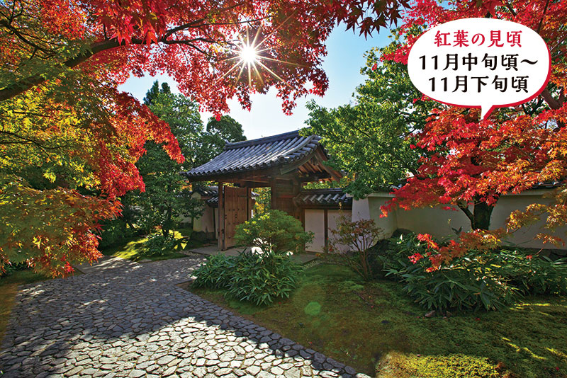 贅沢な秋の一日。日本庭園で観楓(かんぷう)を愉しむ「姫路城西御屋敷跡庭園 好古園」 イメージ写真