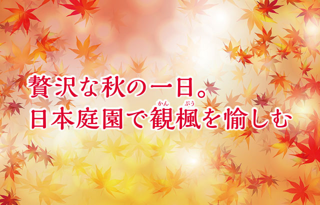 特集「贅沢な秋の一日。日本庭園で観楓（かんぷう）を愉しむ」イメージ写真