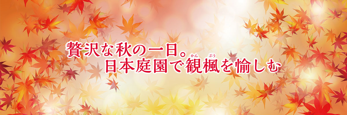 みなとカードの情報誌「Triangle」特集ページ 贅沢な秋の一日。日本庭園で観楓(かんぷう)を愉しむ