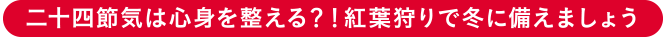 贅沢な秋の一日。日本庭園で観楓(かんぷう)を愉しむ「姫路城西御屋敷跡庭園 好古園」二十四節気は心身を整える?!紅葉狩りで冬に備えましょう